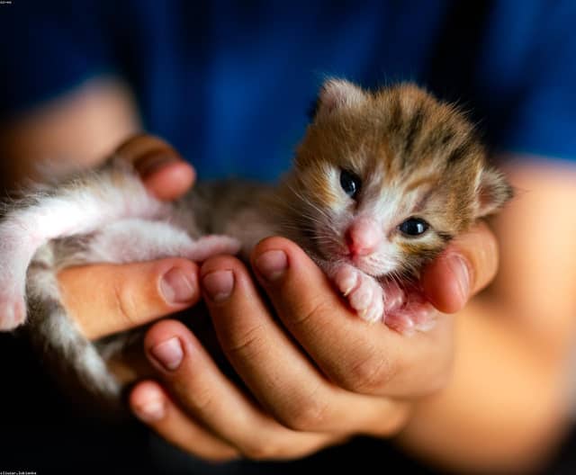9sOnieBX